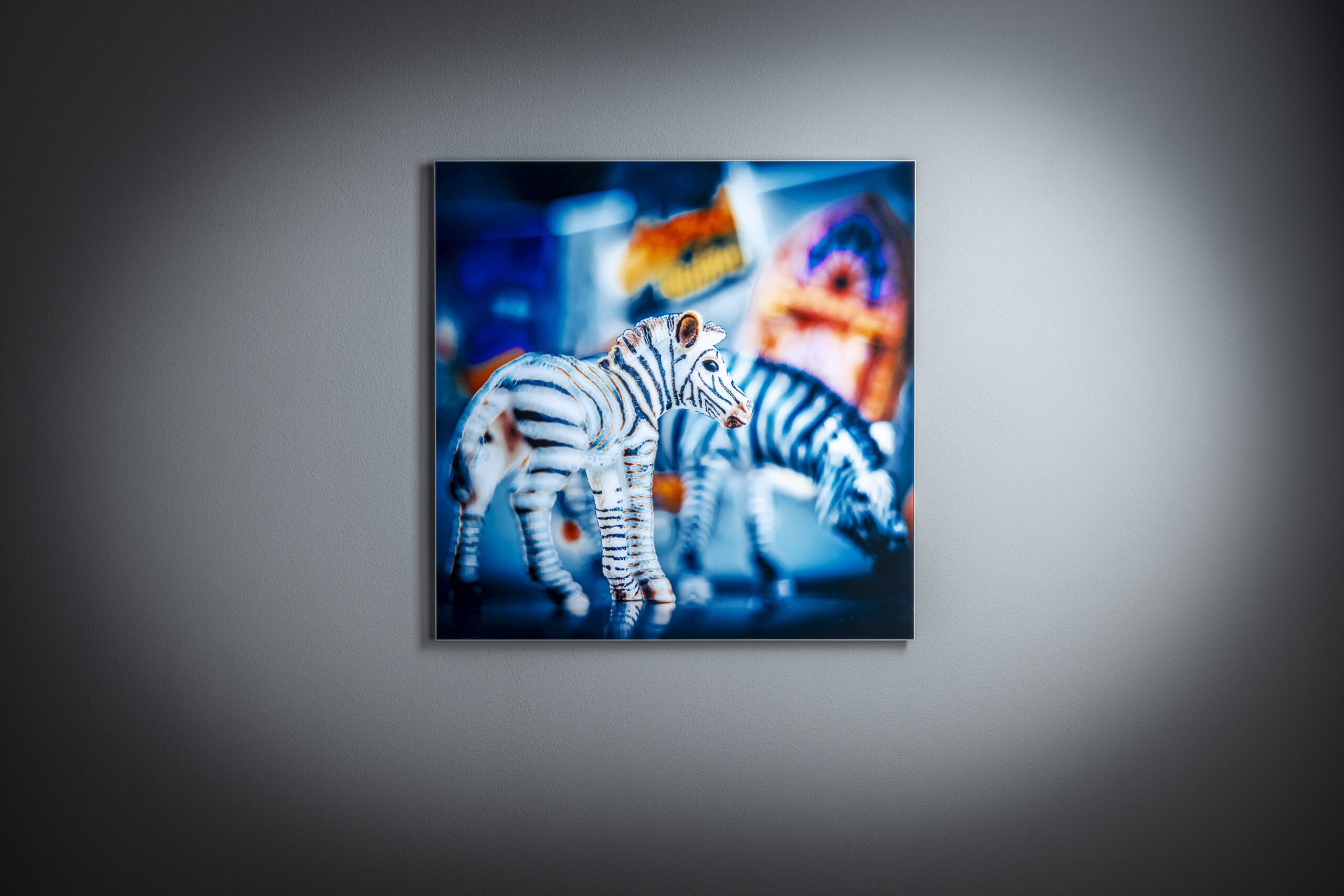 ZEBRA | IGRA JE ISTRAŽIVANJE - Slika 2